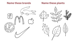Nommez ces marques ; nommez ces plantes (Source : Adbusters)